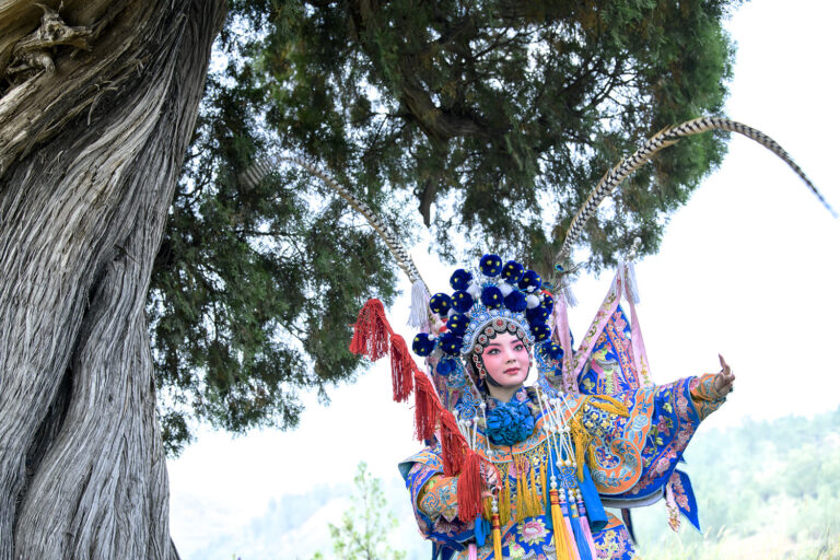 The Chinese Dream - The Chinese Dream8